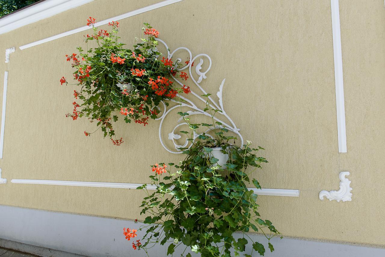 Apartment Carla's Apartment, Airport & Train Station Shuttle Iasi