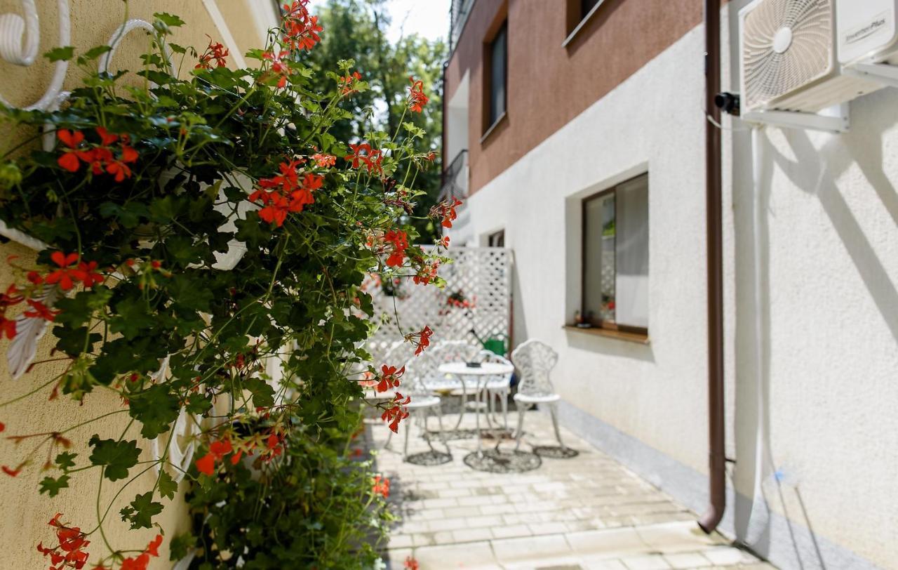 Carla's Apartment, Airport & Train Station Shuttle *